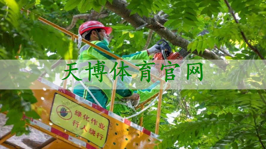 天水市南郭寺绿化工程项目