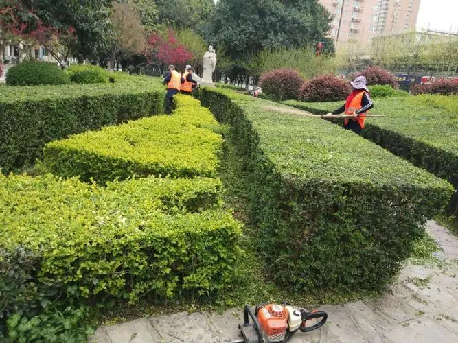 新密市翰林茗郡绿化工程