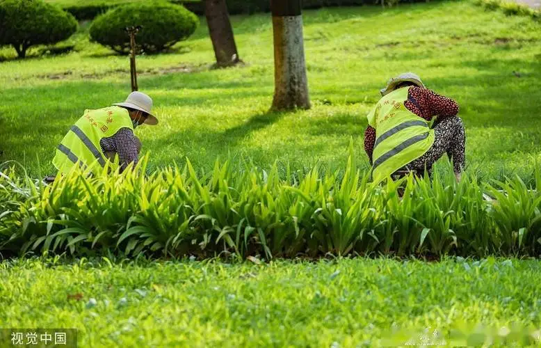 汉阳区优势园林绿化工程设计规范